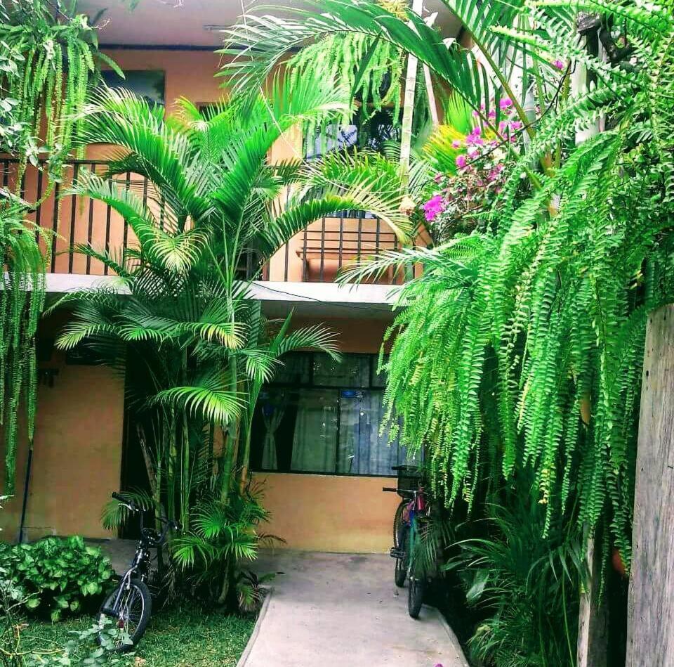 Hospedaje Eli Panajachel Luaran gambar